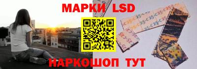 прущие грибы Белорецк