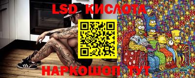 спиды Бердск